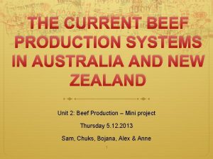 Beef production systems