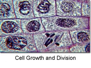 Cell Growth and Division Limits to growth Cell