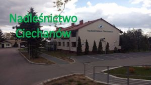 Nadlenictwo Ciechanw Pomniki przyrody Db szypukowy znajduj si