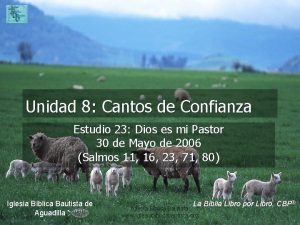 Cantos de confianza en dios