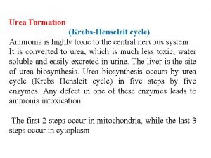 Urea Formation KrebsHenseleit cycle Ammonia is highly toxic