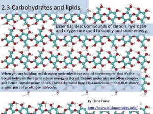 Lipids