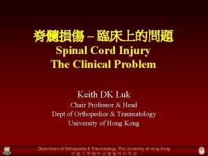 Spinal cord injury protocol