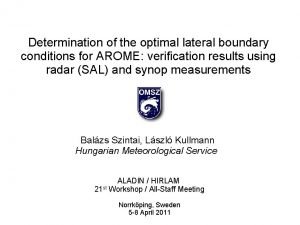 Determination of the optimal lateral boundary conditions for