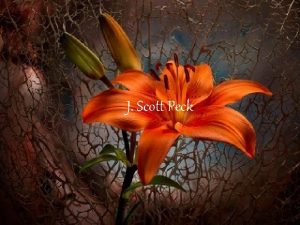 J Scott Peck Biography Scott Peck was born