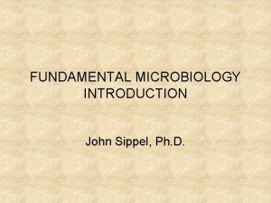 FUNDAMENTAL MICROBIOLOGY INTRODUCTION John Sippel Ph D FUNDAMENTAL