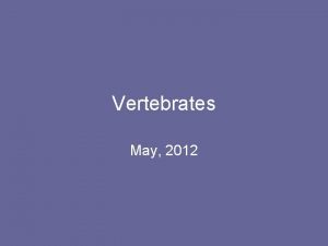 Vertebrates May 2012 Vertebrates Vertebrates Animals with a