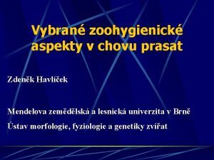 Vybran zoohygienick aspekty v chovu prasat Zdenk Havlek