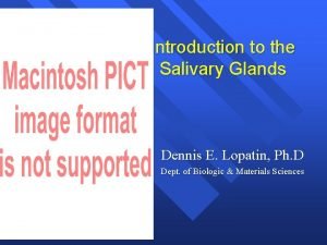 Introduction to the Salivary Glands Dennis E Lopatin