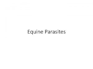 Equine Parasites General Considerations Parasites are most successfully