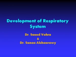 Development of Respiratory System Dr Saeed Vohra Dr