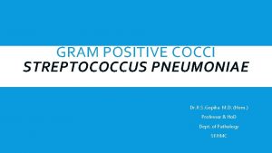 GRAM POSITIVE COCCI STREPTOCOCCUS PNEUMONIAE Dr R S