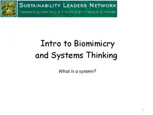 Intro to Biomimicry and Systems Thinking What is