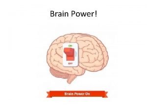 Brain Power Prefrontal Cortex the thinking part of
