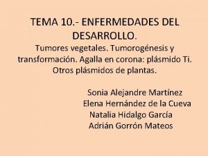 TEMA 10 ENFERMEDADES DEL DESARROLLO Tumores vegetales Tumorognesis