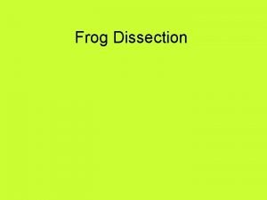Frog Dissection Place Frog in Pan Place himher