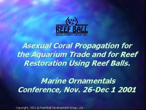 Asexual Coral Propagation for the Aquarium Trade and