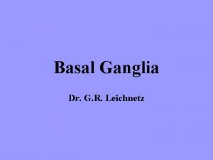 Basal Ganglia Dr G R Leichnetz Basal Ganglia