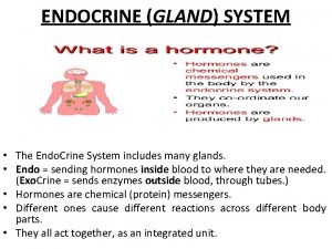 ENDOCRINE GLAND SYSTEM The Endo Crine System includes