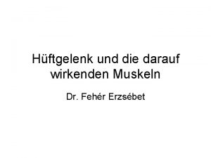 Hftgelenk und die darauf wirkenden Muskeln Dr Fehr