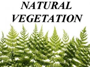 NATURAL VEGETATION Importance of natural vegetation and forests