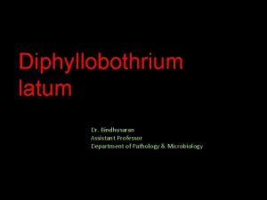 Diphyllobothrium latum Dr Bindhusaran Assistant Professor Department of