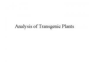 Analysis of Transgenic Plants Requirements Sequence of gene