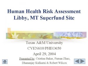 Human Health Risk Assessment Libby MT Superfund Site