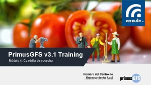 Primus GFS v 3 1 Training Mdulo 4