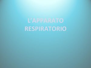 LAPPARATO RESPIRATORIO GENERALIT Lapparato respiratorio ha come scopo