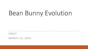 Bean bunny evolution lab