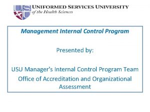 Managers internal control program
