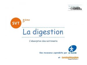 Un diaporama en La digestion Labsorption des nutriments