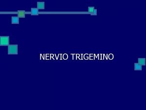 NERVIO TRIGEMINO n El nervio trigmino emerge de