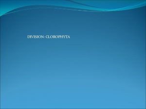 DIVISION CLOROPHYTA Divisin Chlorophyta La divisin consta de