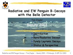 Radiative and EW Penguin BDecays with the Belle