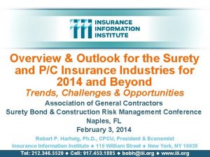 Overview Outlook for the Surety and PC Insurance