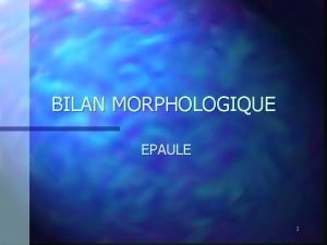 BILAN MORPHOLOGIQUE EPAULE 1 L EPAULE 3 OS