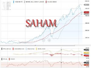 SAHAM Referensi Buffett Mary Clark D The Warrent