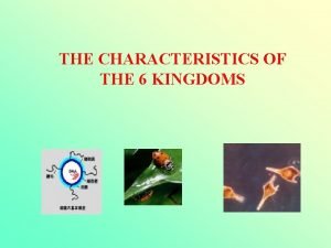 Characteristics of the 6 kingdoms