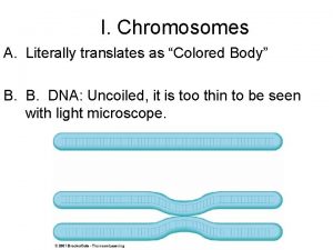 I Chromosomes A Literally translates as Colored Body