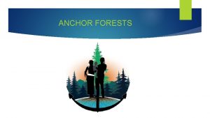 ANCHOR FORESTS WHAT IS IT WHAT IS ANCHOR
