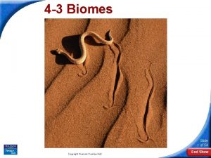 Section 4-3 biome