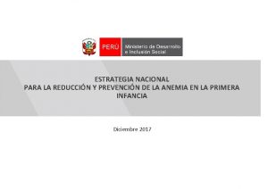 ESTRATEGIA NACIONAL PARA LA REDUCCIN Y PREVENCIN DE