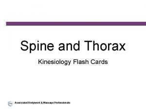 Spine and Thorax Kinesiology Flash Cards Associated Bodywork