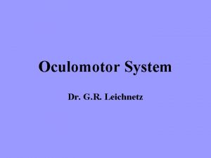 Oculomotor System Dr G R Leichnetz Why study