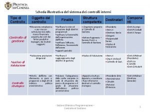 Scheda illustrativa del sistema dei controlli interni Tipo