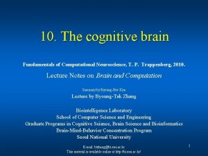 10 The cognitive brain Fundamentals of Computational Neuroscience