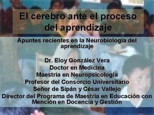 El cerebro ante el proceso del aprendizaje Apuntes