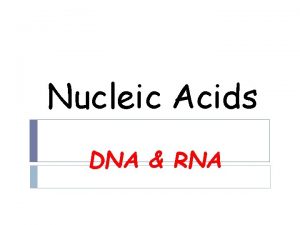 Nucleic acids are made up of